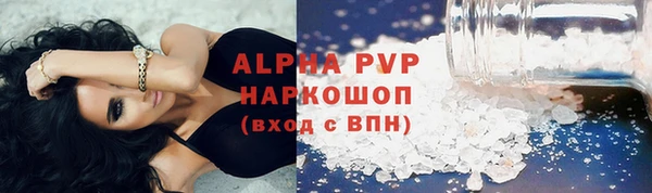 ПСИЛОЦИБИНОВЫЕ ГРИБЫ Заволжье
