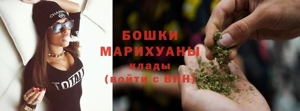 ПСИЛОЦИБИНОВЫЕ ГРИБЫ Заволжье