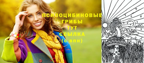 ПСИЛОЦИБИНОВЫЕ ГРИБЫ Заволжье