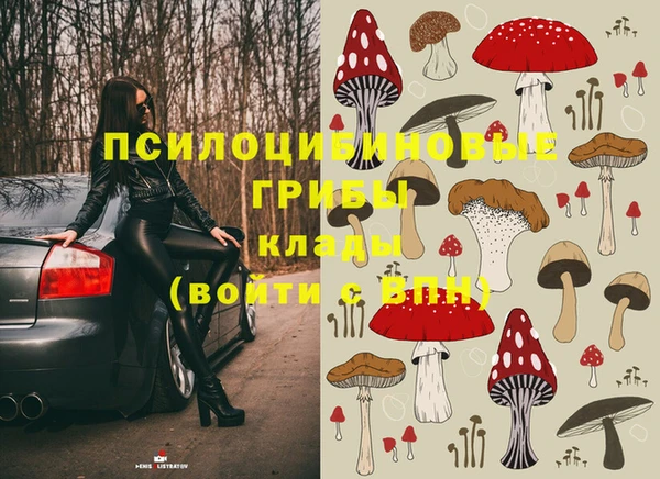 марки lsd Заводоуковск