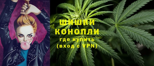 ПСИЛОЦИБИНОВЫЕ ГРИБЫ Заволжье
