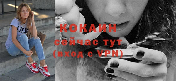 ПСИЛОЦИБИНОВЫЕ ГРИБЫ Заволжье