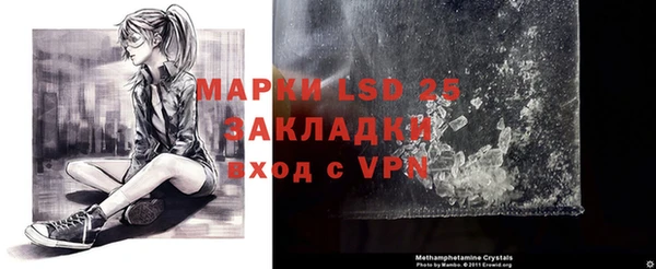 ПСИЛОЦИБИНОВЫЕ ГРИБЫ Заволжье