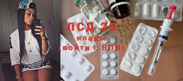ПСИЛОЦИБИНОВЫЕ ГРИБЫ Заволжье