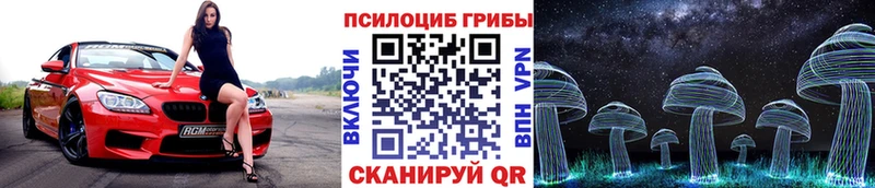 Купить закладки  Алейск  Галлюциногенные грибы Psilocybe 