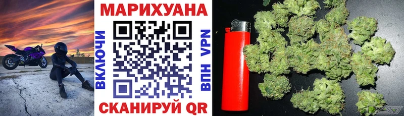 Купить где  Алейск  Канабис ГИДРОПОН 